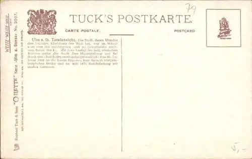 Künstler Ak Ulm an der Donau, Totalansicht, Münster