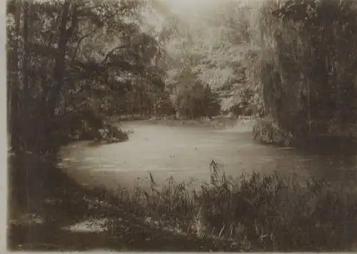 Original Foto Schweinfurt, Teich im Stadtpark, um 1900