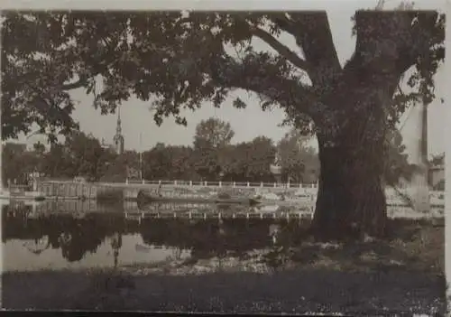 Original Foto Schweinfurt, Mainpartie mit Gerberstieglein, um 1900