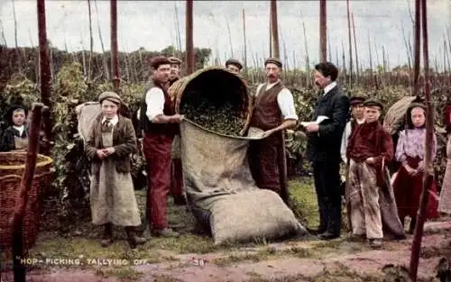 PC Kent England, Hop Picking Tallyng off