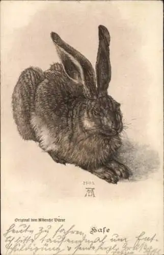 Künstler Ak Dürer, Albrecht, Hasenportrait