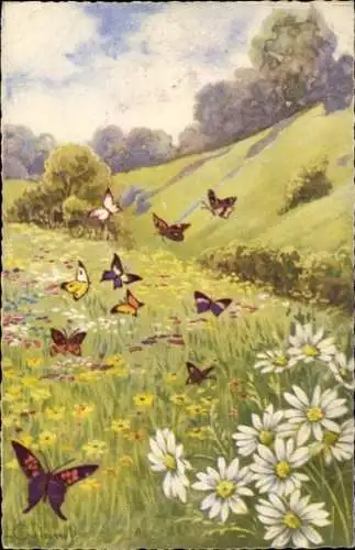 Künstler Ak Blumenwiese, Schmetterlinge
