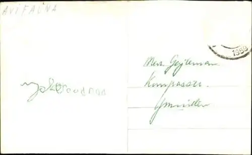 Ak Avifauna, Pinguine