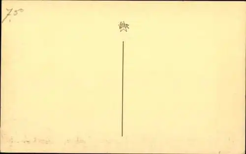 Ak Esel auf der Wiese