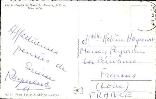 Ak Großer Sankt Bernhard Kanton Wallis, Hospice, Bernhardiner