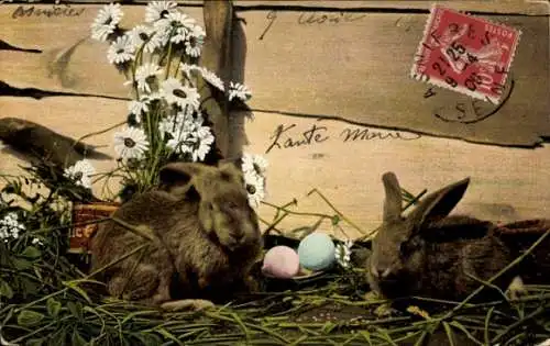 Ak Dresden Striesen, Motiv: Zwei Hasen bunte Ostereier, weiße Gänseblümchen und grünes Gras