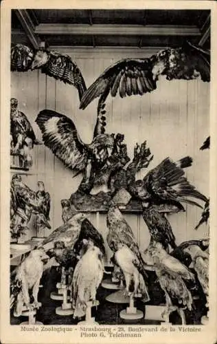 Ak Strasbourg Straßburg Elsass Bas Rhin, Vorderseite einer Postkarte mit einer Abbildung des M...