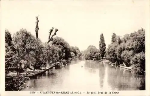 Ak Villennes sur Seine Yvelines, Le petit Bras de la Seine