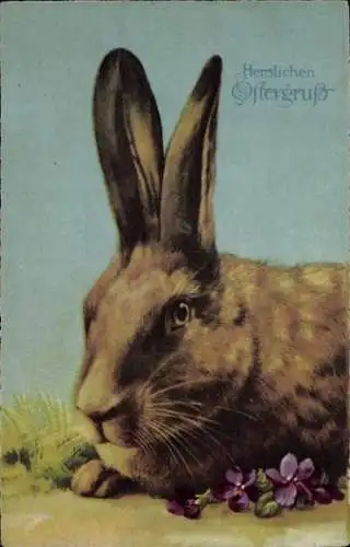 Ak Glückwunsch Ostern, Hase, Blume, Gras