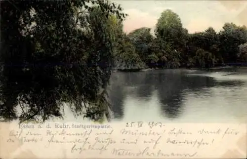 Ak Stadtwald Essen im Ruhrgebiet, Stadtgartenpartie, Essen a. d. Ruhr