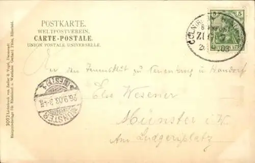 Ak Stadtwald Essen im Ruhrgebiet, Stadtgartenpartie, Essen a. d. Ruhr