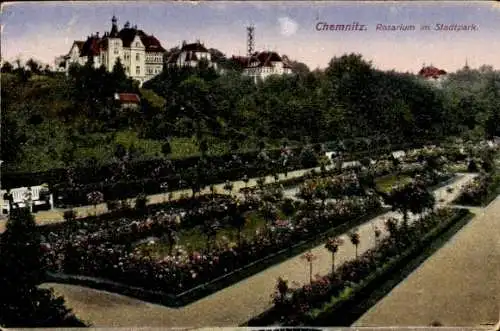 Ak Chemnitz in Sachsen, Rosarium, Stadtpark
