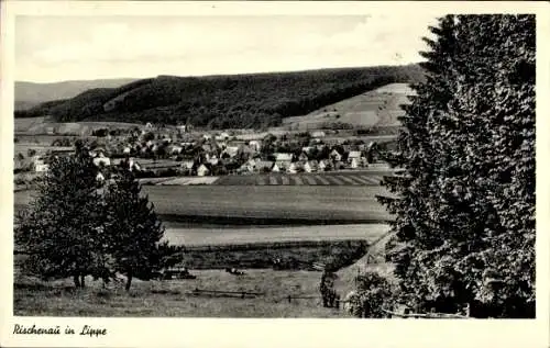 Ak Rischenau Lügde im Weserbergland, Dorf mit Feldern, Hügel im Hintergrund, Bäume am Rand, Ri...