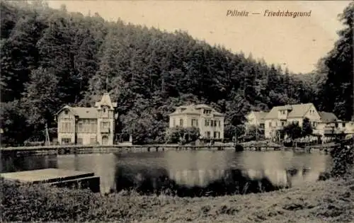 Ak Dresden Pillnitz, Friedrichsgrund, Fluss mit Ufergebäude, Wald im Hintergrund, Gebäude am W...