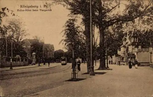 Ak Kaliningrad Königsberg Ostpreußen, Hafen-Allee beim Tiergarten, Straßenbahn