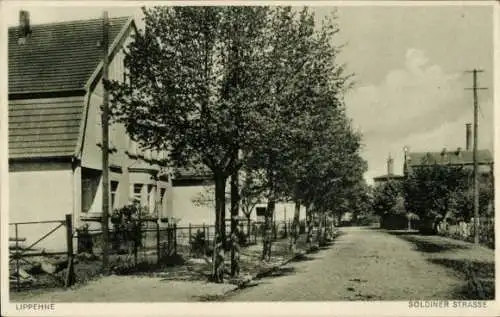 Ak Lippehne Lipiany Ostbrandenburg, Straße mit Bäumen und Häusern, schwarz-weiß, LIPPEHNE, SOL...