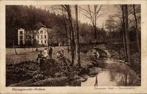 Ak Herzogswalde Mohorn Wilsdruff Sachsen, Tharandter Wald, Tännichtmühle