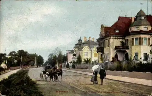 Ak Meerane in Sachsen, Schwanefelderstraße, neuer Teil, Kutsche, Villen