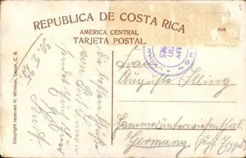 Ak Turrialba Costa Rica, Picking Coffee en Aragon Farm, Kaffeebohnenernte