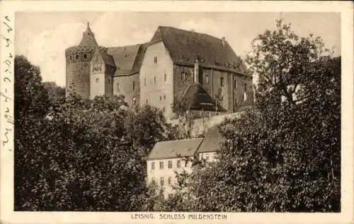 Ak Leisnig in Sachsen, Burg Mildenstein