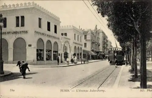 Ak Tunis Tunesien, L'Avenue Jules Ferry