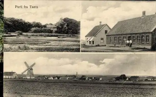 Ak Taars Dänemark, Gesamtansicht, Windmühle