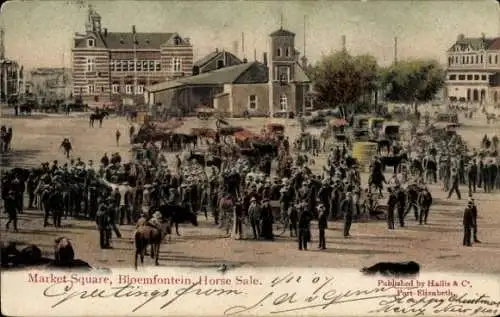 PC Bloemfontein South Africa, Market Square, Horse Sale