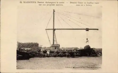 PC Mauritius, Derrick Crane un loading sugar cane on a factory