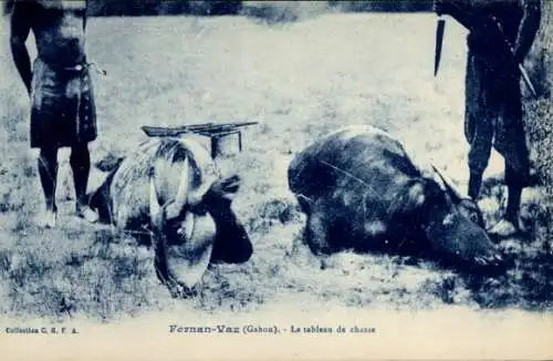 Ak Fernan Vaz Gabun, Le tableau de chasse, Jäger mit Beute