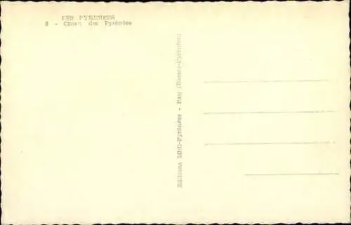 CPA Chien des Pyrenees