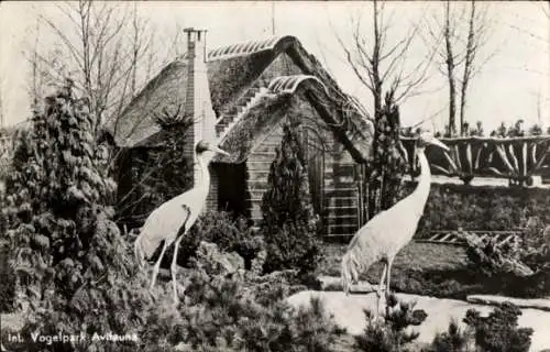 Ak Alphen aan den Rijn Südholland, Vogelpark Avifauna