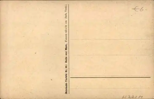 Ak Mäuse in der Natur