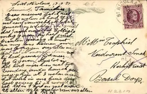 Ak zwei Jagdhunde stehen auf einer Wiese