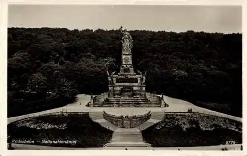 Ak Rüdesheim am Rhein, Bassenheimer Hof, Rüdesheim Nationaldenkmal, Monument, Waldlandschaft, ...