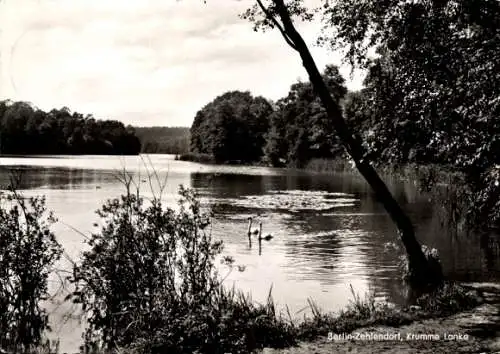 Ak Lanke Wandlitz in Brandenburg, Friedliche Seenlandschaft, Schwäne, umgeben von Bäumen, Wass...