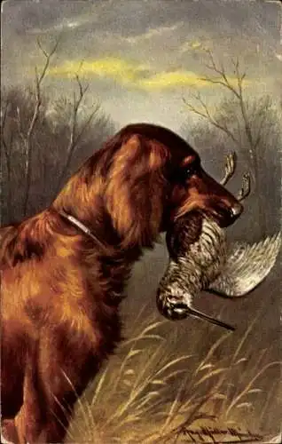 Künstler Ak Müller, August, Jagdhund mit erlegtem Wildvogel, Jagdszene