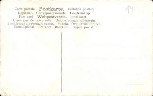 Ak Narzissen in einem Korb, Dackel