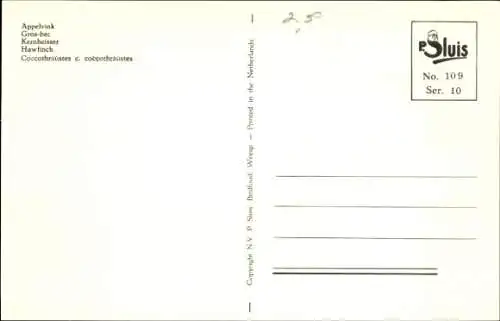 Künstler Ak Vogel, Kernbeißer