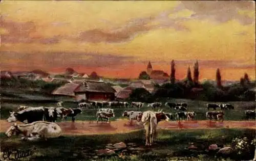 Ak Dorfidyll, Kühe auf der Wiese, Fluss, Häuser