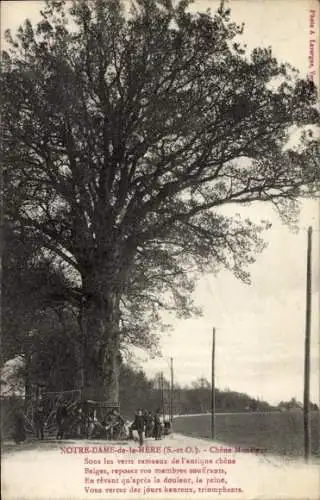 Ak Notre Dame de la Mère Yvelines, Chêne Monsieur Sous les verts rameaux de l'antique chène Belges