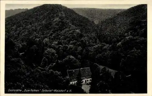 Ak Meisdorf Falkenstein im Harz, Gasthof Zum Falken im Selketal