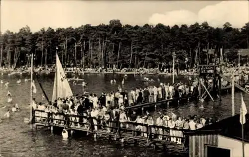 Ak Arendsee in der Altmark, Badesteg