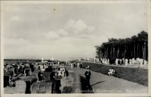 Ak Ostseebad Kühlungsborn, Strandpromenade, Menschen, Strohballen, Bäume, Ostseebad, alte Arch...