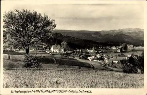 Ak Hinterhermsdorf Sebnitz Sächsische Schweiz, Gesamtansicht