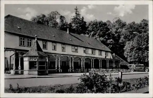 Ak Alexisbad Harzgerode am Harz, Hotel, goldene Rose, Terrasse, Stühle, Auto, Bäume, Himmel