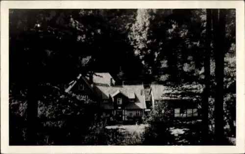 Ak Ilfeld am Harz Thüringen, Forsthaus Braunsteinhaus, dichter Wald, bewaldete Umgebung