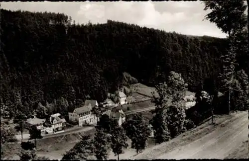 Ak Schwarzenstein Schwarzenbach am Wald Oberfranken, Teilansicht