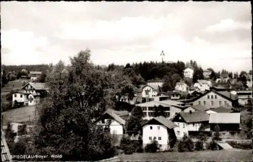 Ak Spiegelau im Bayerischen Wald Niederbayern, Teilansicht