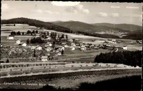 Ak Kammersdorf Geiersthal im Bayerischen Wald, Gesamtansicht