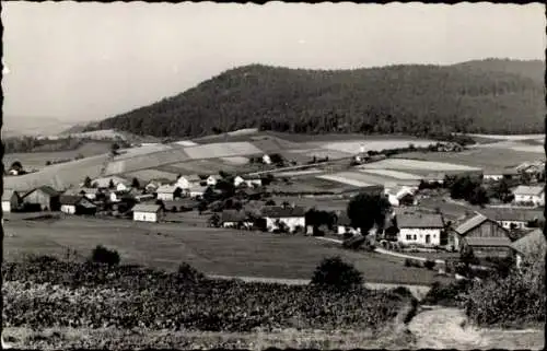 Ak Blaibach im Bayerischen Wald Oberpfalz, Gesamtansicht